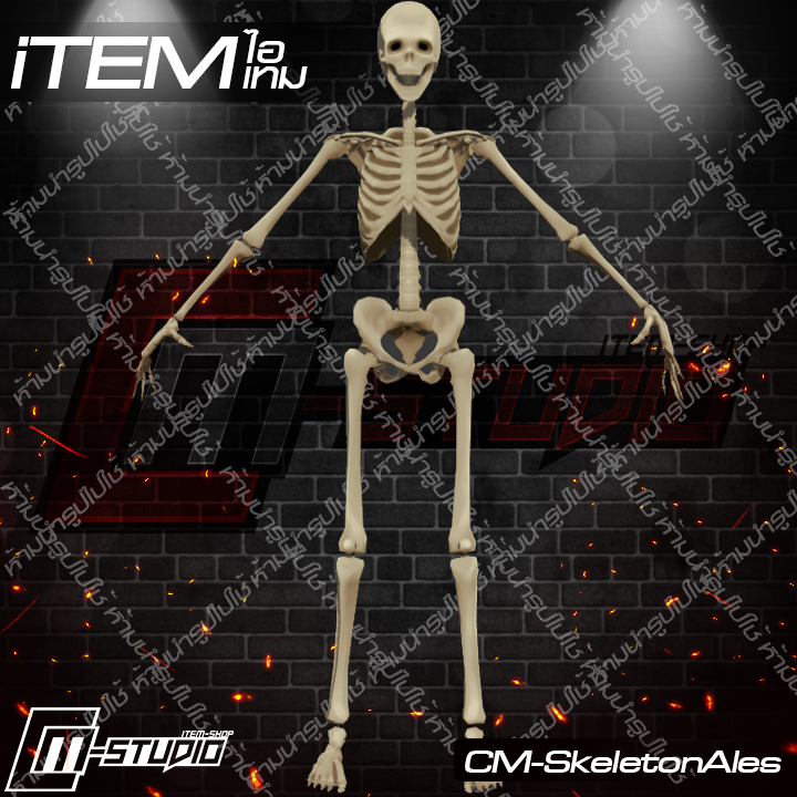MFSkeletonAles