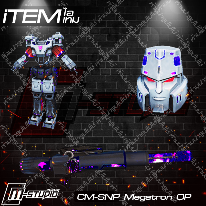 MFSNP_Megatron_OP