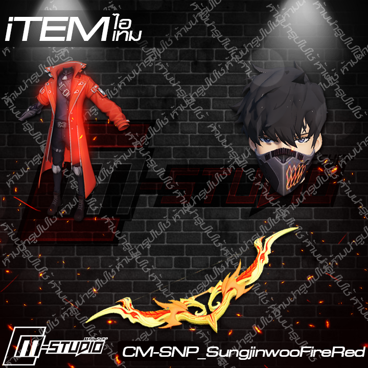 MFSNP_SungjinwooFireRed