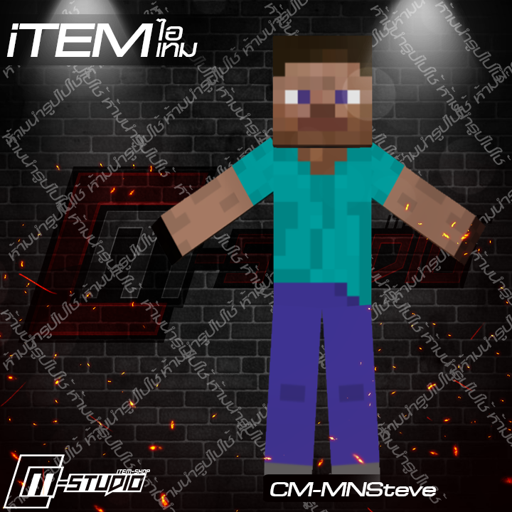 MFMNSteve